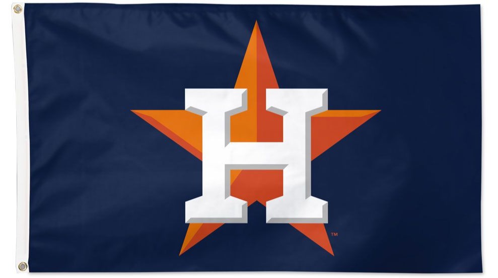 Tampa Bay Rays Garden Flag from Flags Unlimited